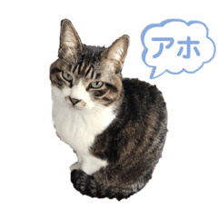 【風俗嬢限定】言いたい事言って立ち去る：コメント10632
