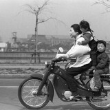 「怖くて乗れない」「インフラが追いついていない」自転車青切符で生活に影響、現場から不満噴出