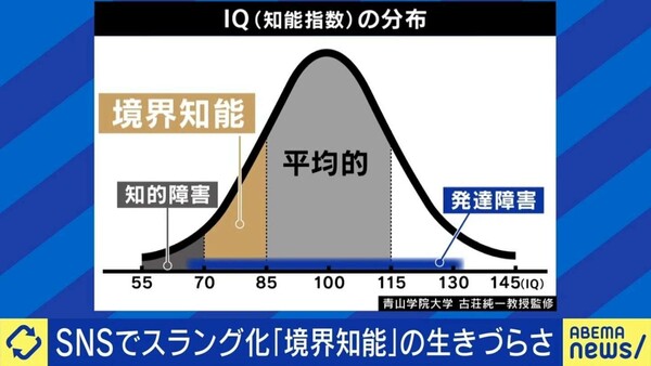 日本人の7人に1人が抱える「境界知能」という“見えない生きづらさ”:コメント2