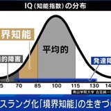 日本人の7人に1人が抱える「境界知能」という“見えない生きづらさ”