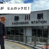 ダレノガレ明美、自身のルックス巡り“謝罪”「加工って思われるくらい小顔で…」