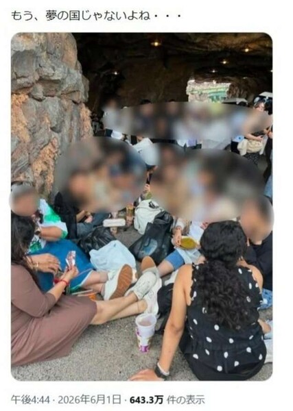 「民度が悪すぎる」ディズニーシーで外国人集団が座り込み・飲食持ち込み姿が急拡散：コメント2