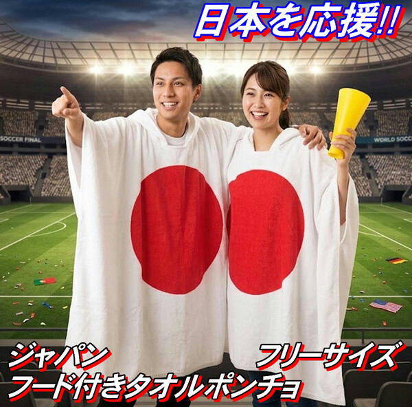 “国旗損壊罪”創設法案が衆院本会議で可決　共同提出者が異例の採決欠席　与党からは“造反”も：コメント4